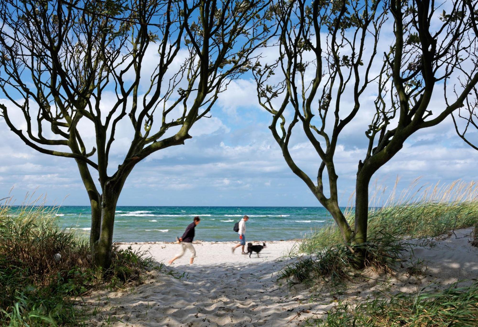 Haus Kulschewski Insel Poel Kültér fotó